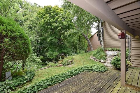 252 Spring Cove Dr, Elgin, IL 60123 photo 52