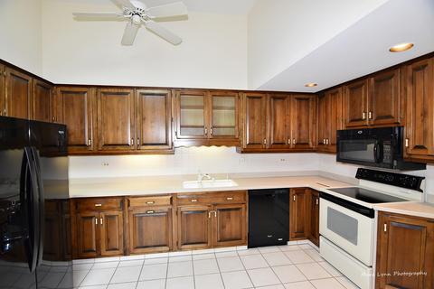 252 Spring Cove Dr, Elgin, IL 60123 photo 10