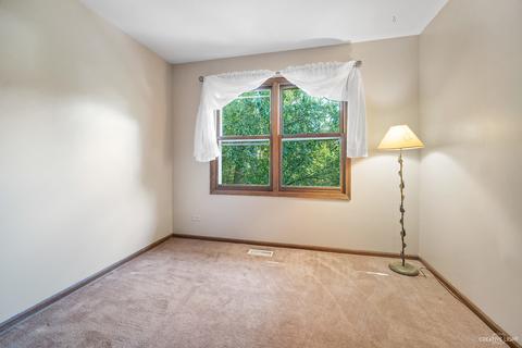 310 S Hickory Ave, Bartlett, IL 60103 photo 16