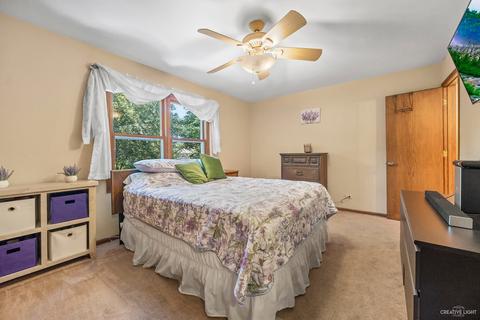 310 S Hickory Ave, Bartlett, IL 60103 photo 14