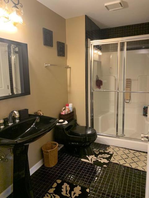 975 Doral Dr, Bartlett, IL 60103 photo 48