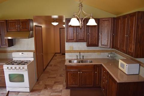 16433 Homan Ave, Markham, IL 60428 photo 3