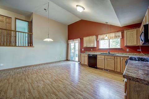 2204 Red Hawk Dr, Plainfield, IL 60586 photo 10