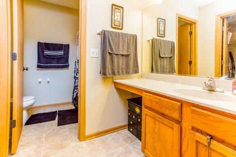 3118 Hoffman St, Plano, IL 60545 photo 32