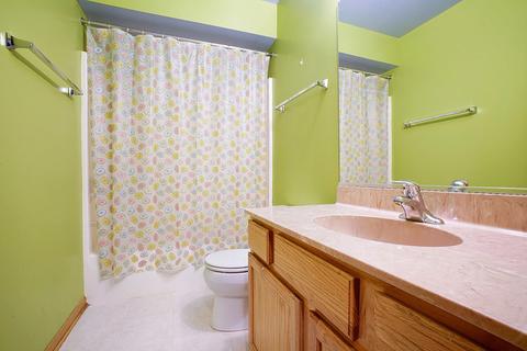 4739 W Iris Ln, Monee, IL 60449 photo 11