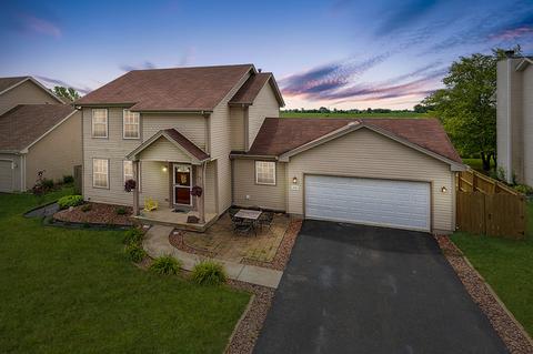 4739 W Iris Ln, Monee, IL 60449 photo 1