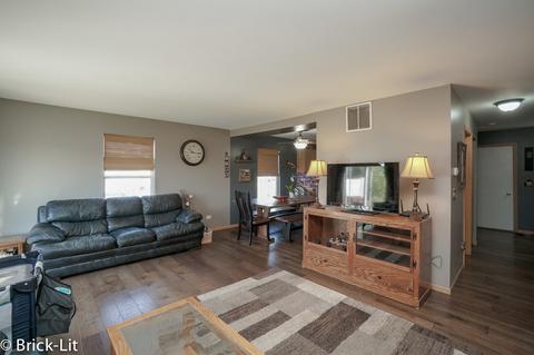 25951 Derby Dr, Monee, IL 60449 photo 5