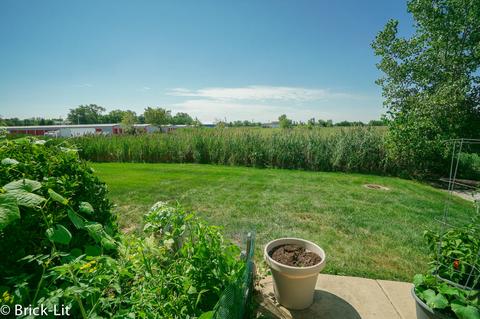 25951 Derby Dr, Monee, IL 60449 photo 21