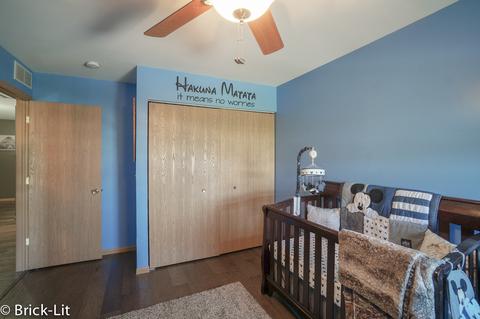 25951 Derby Dr, Monee, IL 60449 photo 16