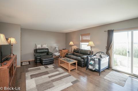 25951 Derby Dr, Monee, IL 60449 photo 3
