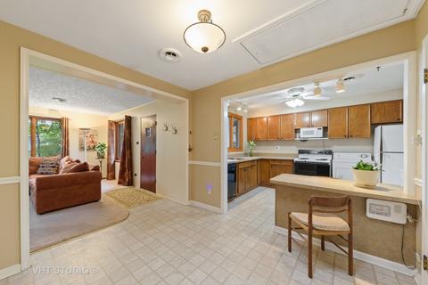 884 S 3rd Ave, Des Plaines, IL 60016 photo 8