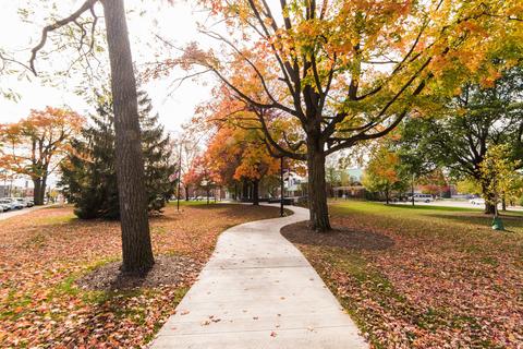 124 W Union Ave, Wheaton, IL 60187 photo 38