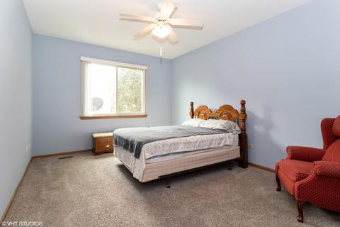 21109 Buckeye Ct, Plainfield, IL 60544 photo 10