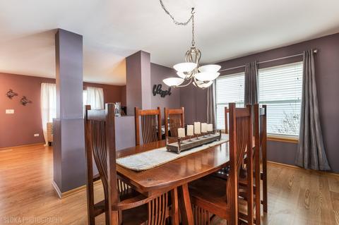 1040 Wise St, Elburn, IL 60119 photo 4