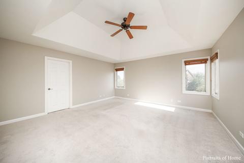 11668 Cinema Dr, Plainfield, IL 60585 photo 18