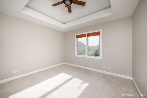 11668 Cinema Dr, Plainfield, IL 60585 photo 24