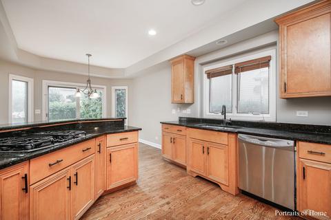 11668 Cinema Dr, Plainfield, IL 60585 photo 9