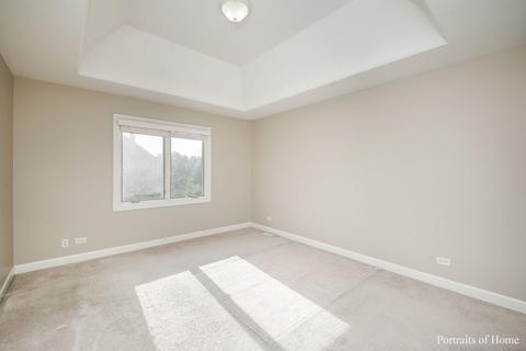 11668 Cinema Dr, Plainfield, IL 60585 photo 27