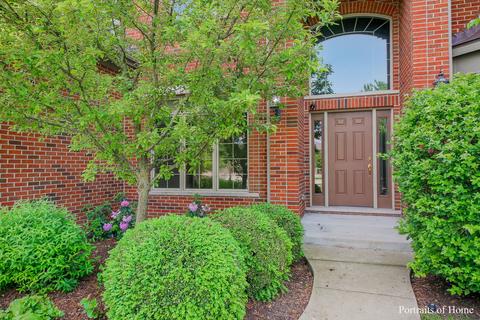 11668 Cinema Dr, Plainfield, IL 60585 photo 2