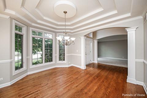 11668 Cinema Dr, Plainfield, IL 60585 photo 5