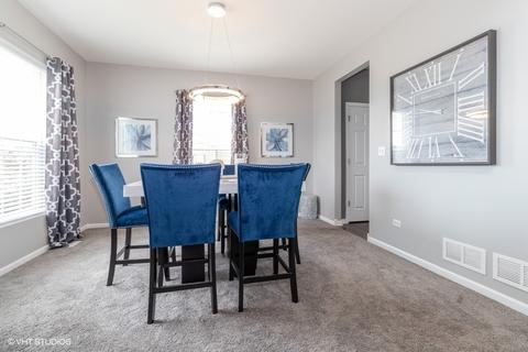 12320 Dublin Ln, Plainfield, IL 60585 photo 12