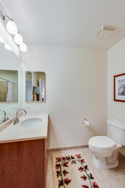 225 S Sangamon St #809, Chicago, IL 60607 photo 16