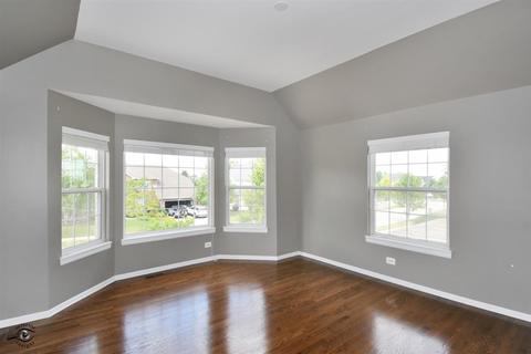 24807 Emerald Ave, Plainfield, IL 60585 photo 24