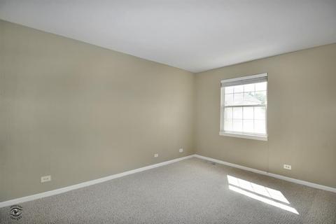 24807 Emerald Ave, Plainfield, IL 60585 photo 20