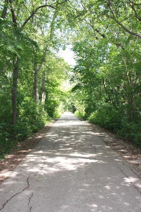 1102 Jog Rd, Normal, IL 61761 photo 34