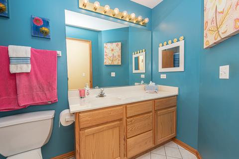 24207 Farmstead Ln, Plainfield, IL 60544 photo 30