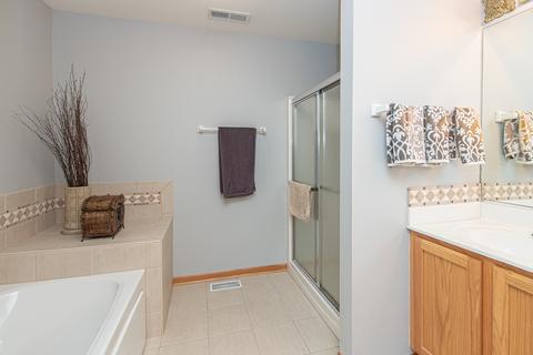 24207 Farmstead Ln, Plainfield, IL 60544 photo 26