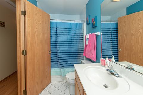 24207 Farmstead Ln, Plainfield, IL 60544 photo 29