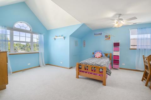 24207 Farmstead Ln, Plainfield, IL 60544 photo 28