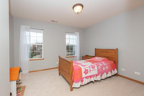 24207 Farmstead Ln, Plainfield, IL 60544 photo 31
