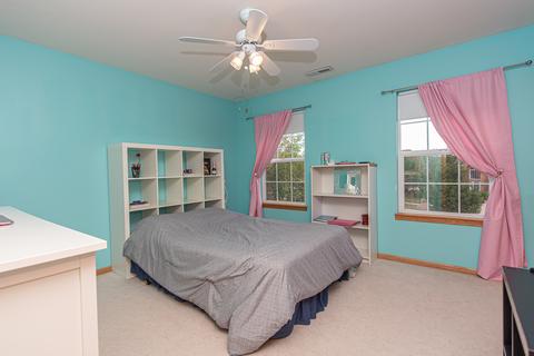 24207 Farmstead Ln, Plainfield, IL 60544 photo 32