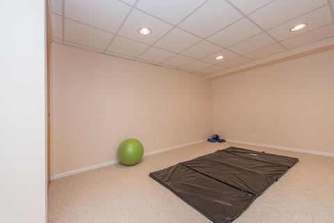 24207 Farmstead Ln, Plainfield, IL 60544 photo 37