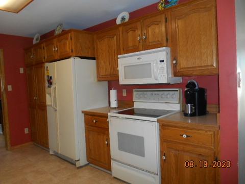 1104 W 2nd St, Spring Valley, IL 61362 photo 5