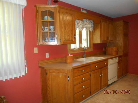 1104 W 2nd St, Spring Valley, IL 61362 photo 4