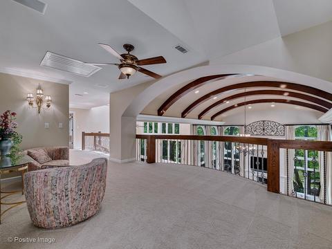 3 Roanoke Ct, Burr Ridge, IL 60527 photo 23