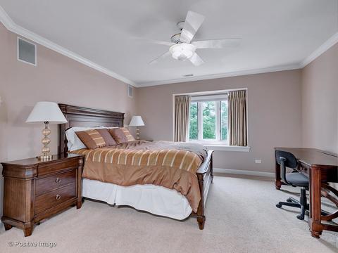 3 Roanoke Ct, Burr Ridge, IL 60527 photo 29