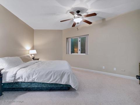 3 Roanoke Ct, Burr Ridge, IL 60527 photo 39