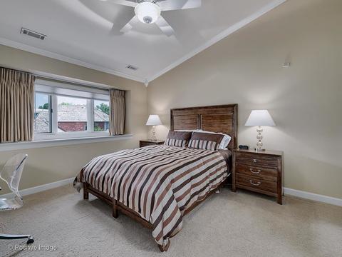 3 Roanoke Ct, Burr Ridge, IL 60527 photo 31
