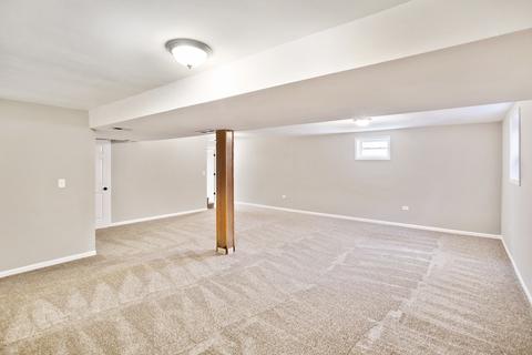 21045 Apollo Cir, Olympia Fields, IL 60461 photo 19