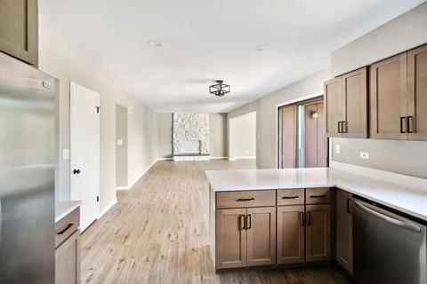 21045 Apollo Cir, Olympia Fields, IL 60461 photo 6