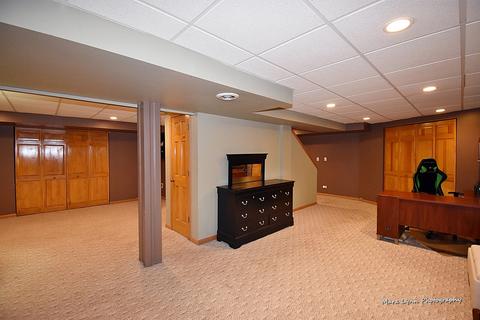 229 Shawnee Cir, Bartlett, IL 60103 photo 40