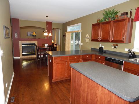 14855 Meadow Ln, Plainfield, IL 60544 photo 9