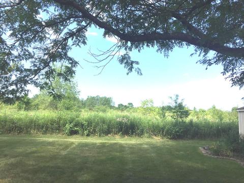 1180 Ancient Oaks Dr, Bartlett, IL 60103 photo 2