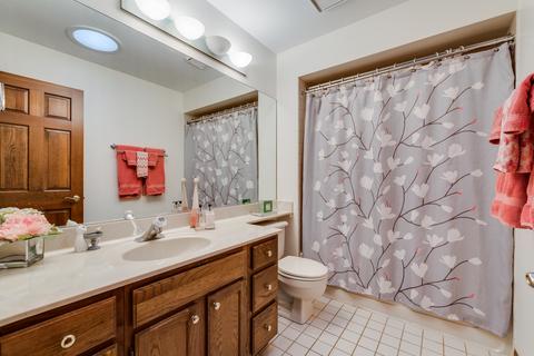 1180 Ancient Oaks Dr, Bartlett, IL 60103 photo 13