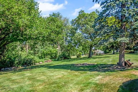 5 E Division St, Lemont, IL 60439 photo 29