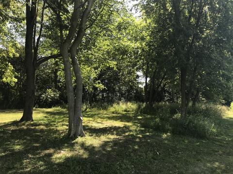 17520 Barber Greene Rd, Maple Park, IL 60151 photo 46